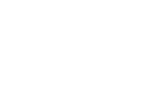 Xybition