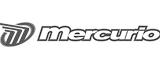 Icn-logos-41